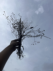 Bouquet de graines, format 30 x 40 cm, 2024